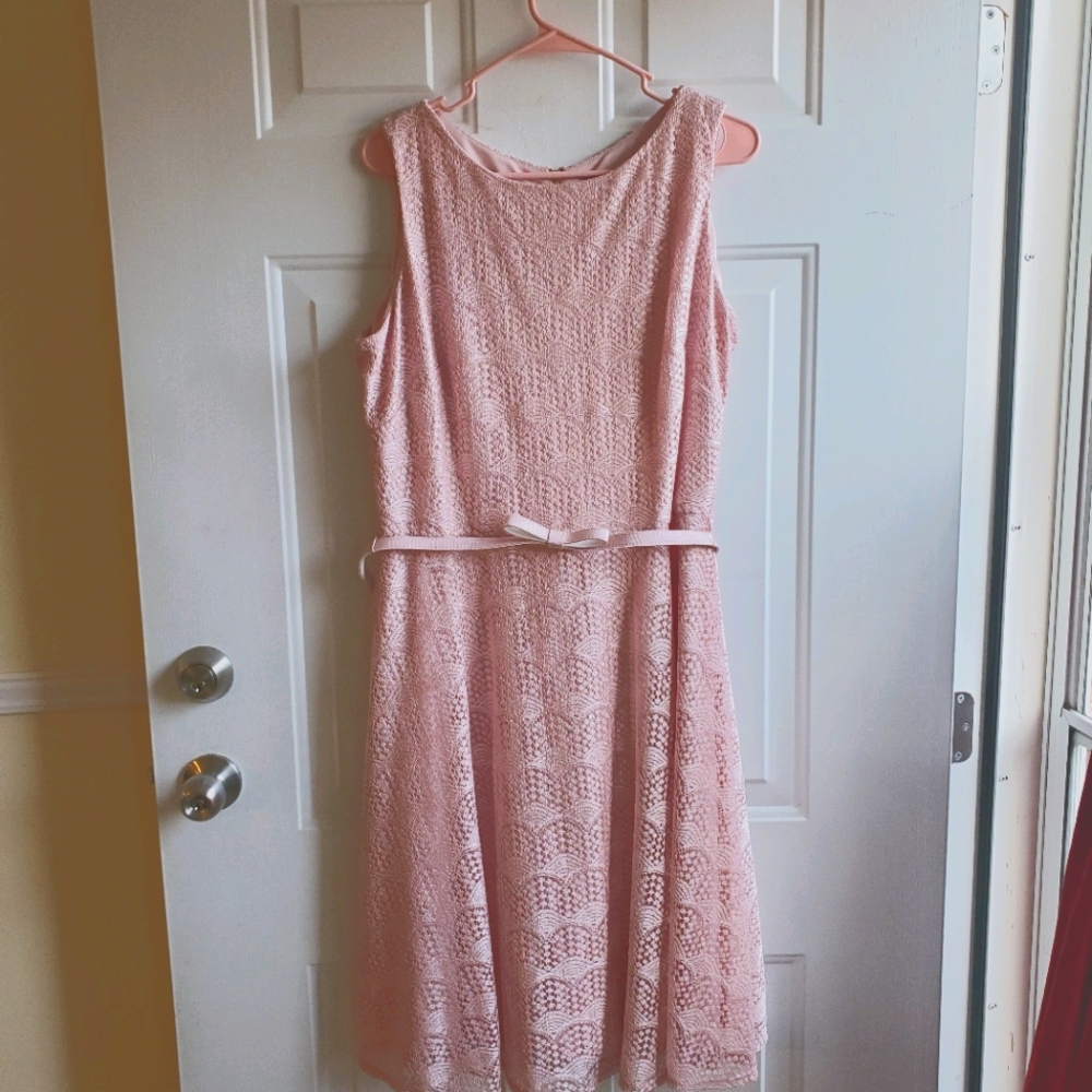 Pink lace Fit and Flare
